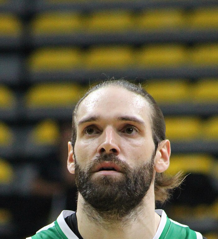 Alexandre Gavrilovic