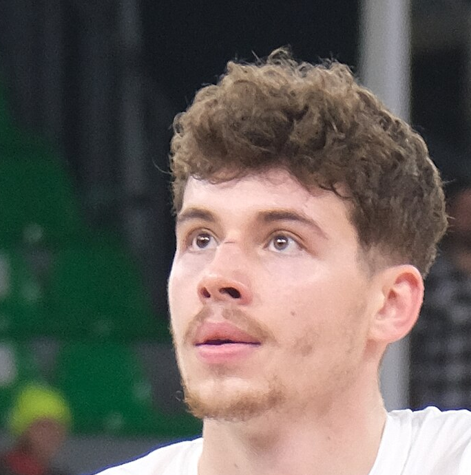 Luka Brajkovic