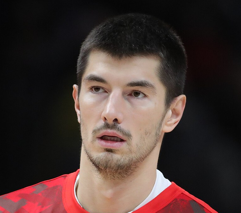 Luka Mitrovic