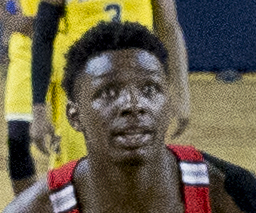 Jae'Sean Tate