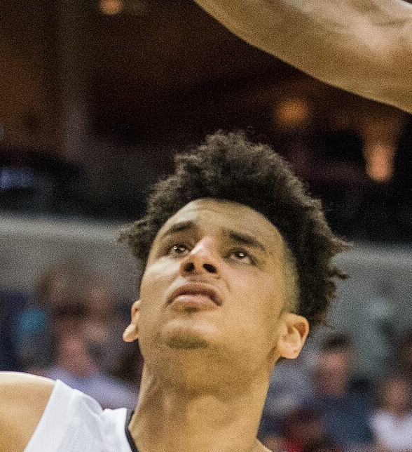 Tai Webster