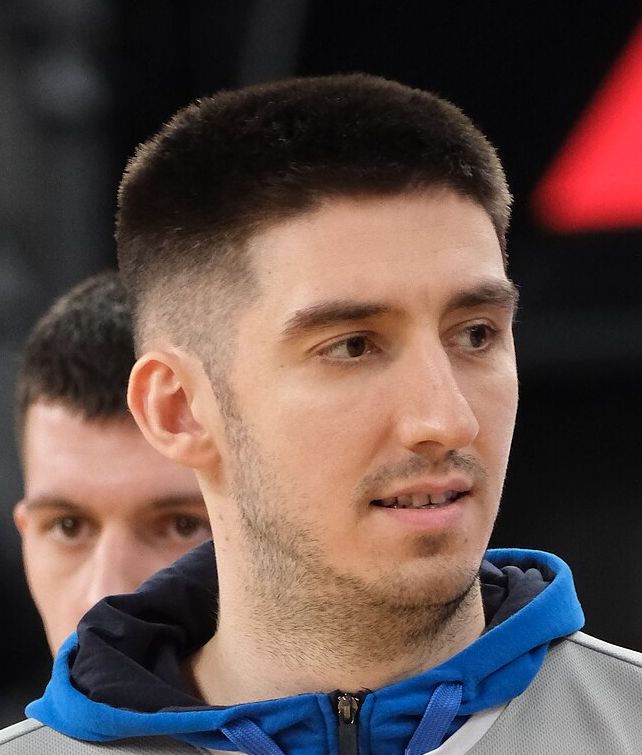 Aleksa Ilic